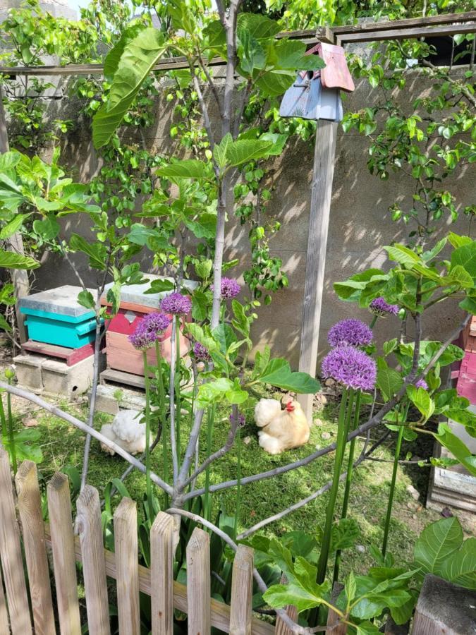 Tiny House Cosy 2 - Angers Green Lodge Εξωτερικό φωτογραφία